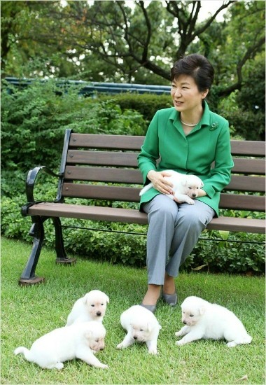 박근혜 전 대통령 페이스북 캡쳐