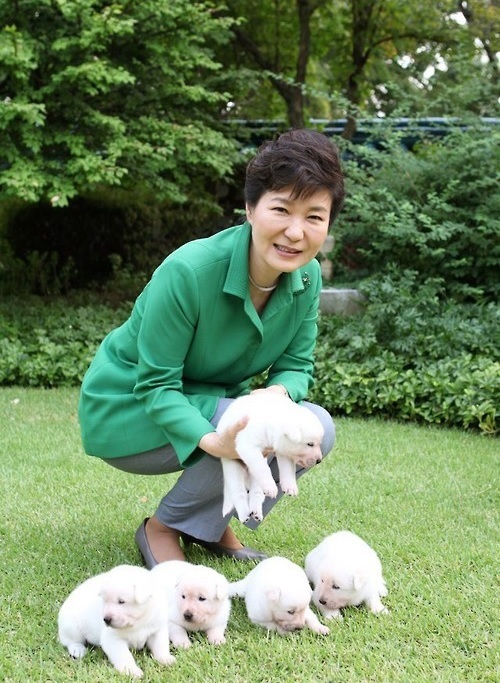 [사진=연합뉴스]