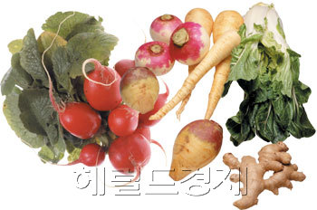 칼슘을 많이 함유한 식품 [사진=헤럴드경제DB]