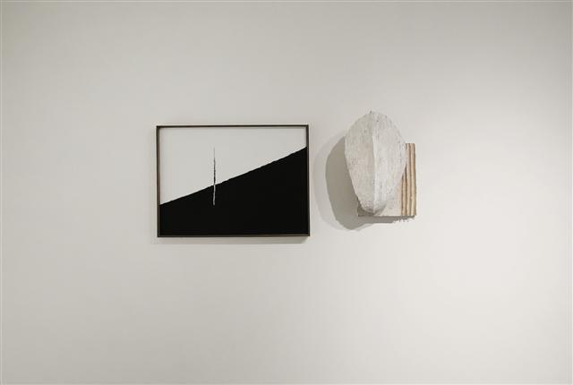 나점수, 식물적 사유, wood, oilstick on canvas, 2017. 드로잉42×54×4.3cm(좌) 조각:21.5×39×14.5cm(우)
[사진제공=누크갤러리]