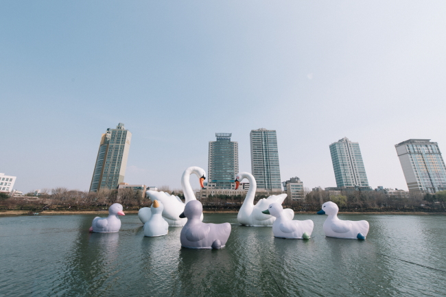 석촌호수에 설치된 스위트 스완 [사진제공=롯데문화재단]