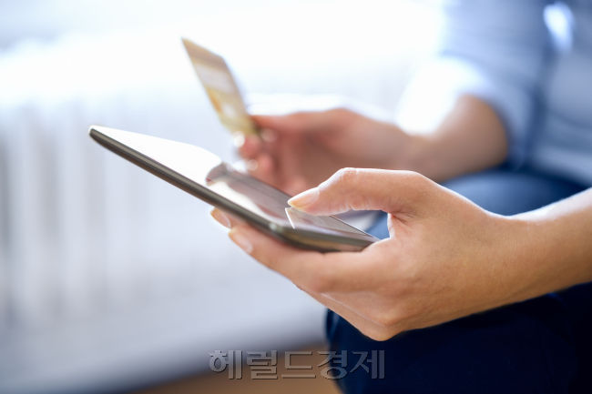 직구 이미지. [사진=헤럴드경제DB]