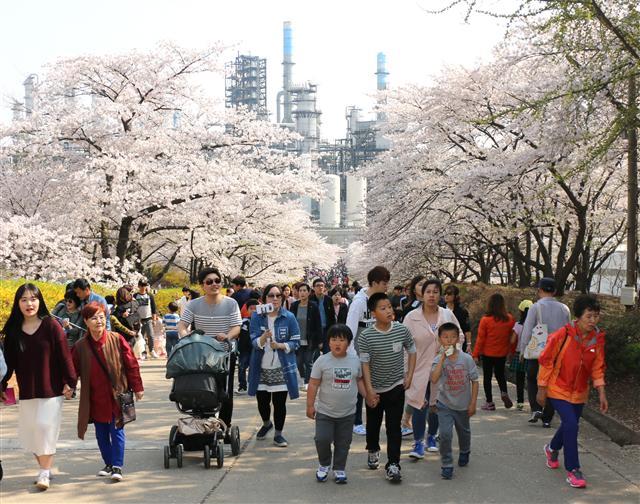 지난 14일 SK인천석유화학의 본사이자 핵심 생산 시설이 있는 인천시 서구 원창동은 간간히 쏟아지는 비에도 사람과 차량 행렬이 끝이질 않았다.(왼쪽) 뒷동산에 핀 600여 그루의 나무가  핀 공장 모습.