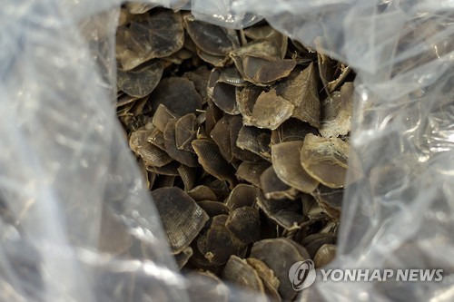 (사진=연합뉴스)