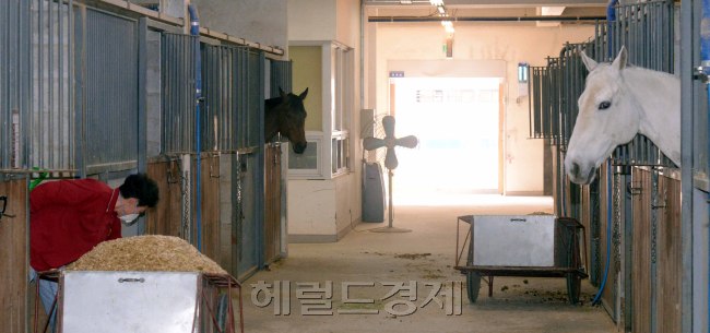 [사진=정희조 기자/checho@heraldcorop.com]