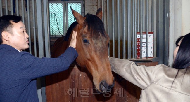 [사진=정희조 기자/checho@heraldcorop.com]