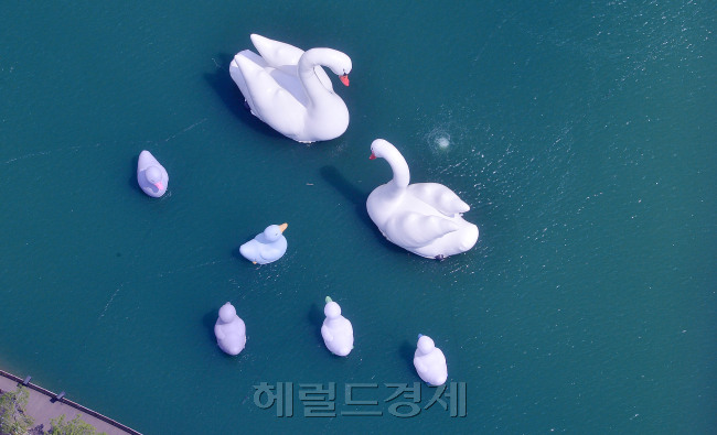 [사진=이상섭 기자/babtong@heraldcorp.com]