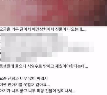 (사진=인터넷 커뮤니티 캡쳐)