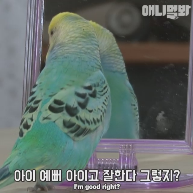 (사진=페이스북 영상 캡처)