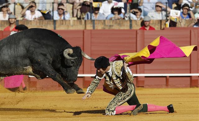 epa05949321 Spanish bullfighter Esau Fernandez fights with his first bull of the evening during the bullfighting held on the ocassion of the April's Fair held at the Maestranza bullring in Seville, Andalusia, Spain, 07 May 2017. EPA/JULIO MUNOZ