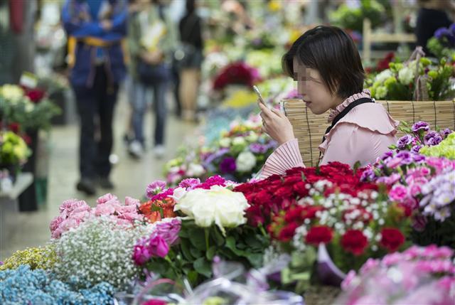 <YONHAP PHOTO-3239> 카네이션 판매량 감소 (서울=연합뉴스) 윤동진 기자 = 어버이날을 하루 앞둔 7일 오후 서울 서초구 양재동 aT 화훼공판장 지하 꽃 상가에서 매장 직원이 휴대전화를 하며 휴식을 취하고 있다. 7일 한국농수산식품유통공사(aT) 화훼공판장에 따르면 지난달 24일부터 이달 5일까지 카네이션 거래량은 17만9천835속으로, 전년 동기 대비 10% 감소했다. 카네이션은 20송이가 1속이다. 2017.5.7 mon@yna.co.kr/2017-05-07 14:56:05/ <저작권자 ⓒ 1980-2017 ㈜연합뉴스. 무단 전재 재배포 금지.>