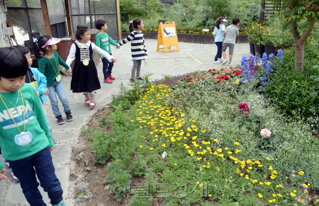 도시에서 보기 어려운 서울시 지정보호종인 산제비나비를 볼 수 있는 서울숲공원 나비정원을 찾은 아이들. [사진=박현구 기자/phko@heraldcorp.com]