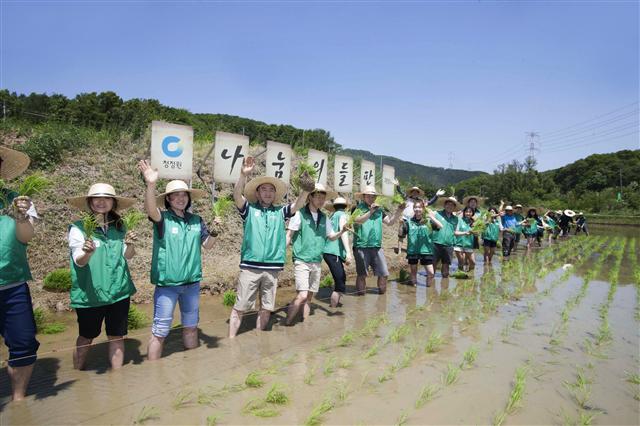 지난 19일 경기도 양주 비암리에서 진행된 대상의 ‘나눔의 들판’ 프로젝트. 임직원들과 주부봉사단, 대학생들이 직접 모심기에 나섰다.