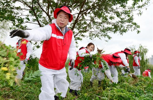LG화학 밤섬지킴이 봉사단 ‘그린 메이커(Green Maker)’가 환경정화 활동을 하고있다.
