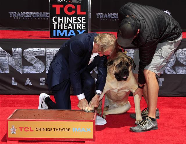 <YONHAP PHOTO-1870> epa05984935 US director Michael Bay (L) is helped to place his dog Rebel's paw print during a ceremony honoring Bay with his hands and footprints in cement outside the TCL Chinese Theatre in Hollywood, California, USA, 23 May 2017. Bay's latest movie is 'Transformers: The Last Knight'. EPA/MIKE NELSON/2017-05-24 06:02:25/ <저작권자 ⓒ 1980-2017 ㈜연합뉴스. 무단 전재 재배포 금지.>