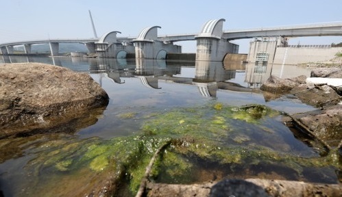 This photo, taken on May 22, 2017, shows a dammed pool for irrigation in Daegu, 302 kilometers south of Seoul. (Yonhap)