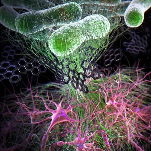 (Photo courtesy of the Gwangju Institute of Science and Technology)