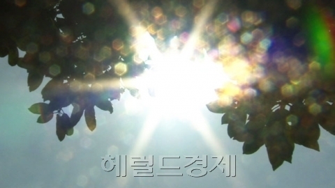 본격적인 여름철이 시작되기 전임에도, 낮 최고 기온이 30도를 넘나드는 때 이른 무더위가 한반도를 강타하고 있다. [헤럴드경제DB]