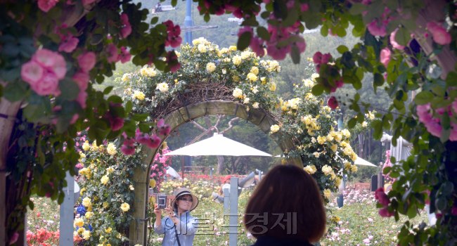 [사진=정희조 기자/checho@heraldcorp.com]