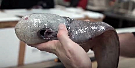 (사진=유투브 영상 캡쳐)
