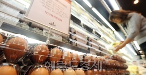 지난 2일 전북 군산을 시작으로 전국 단위로 번지고 있는 AI 사태로 높은 수준을 유지하던 계란값이 더욱 오를 것으로 보인다.  [헤럴드DB]