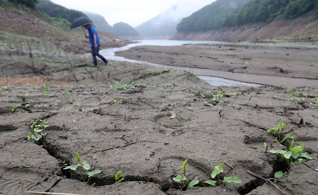 A man walks by the dry cracked earth in a reservoir in Chuncheon, Gangwon Province, Wednesday. (Yonhap)
