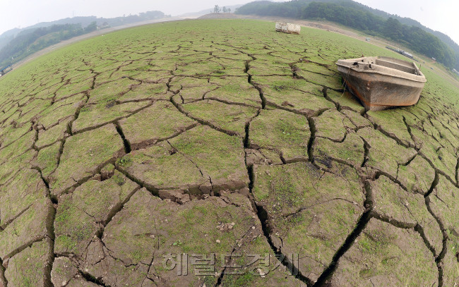 [사진=이상섭 기자/babtong@heraldcorp.com]