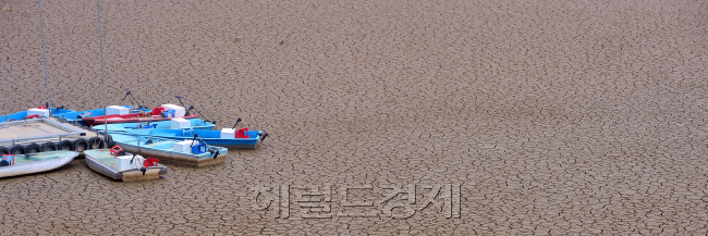 [사진=이상섭 기자/babtong@heraldcorp.com]