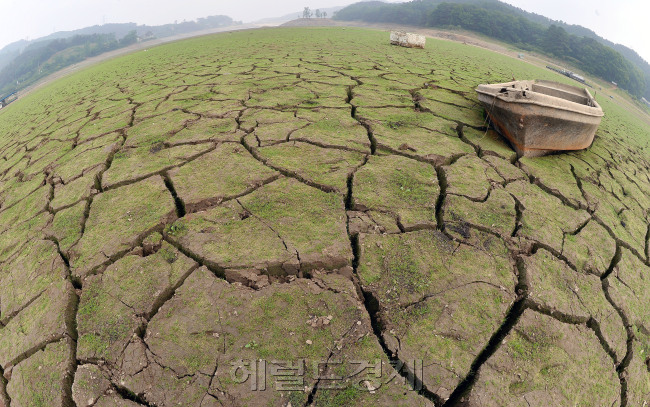 반가운 비였지만, 쩍쩍 갈라지는 논밭과 애타는 농민들을 다독여주기엔 턱없이 모자랐다. 지난 8일 경기도 안성시 금광면 금광저수지 바닥이 거북이 등처럼 갈라진 모습이 가뭄의 심각성을 보여준다. 말라붙은 강바닥에 흙먼지를 뒤집어 쓴 쪽배가 안쓰럽게 보인다.  안성=이상섭 기자/babtong@heraldcorp.com