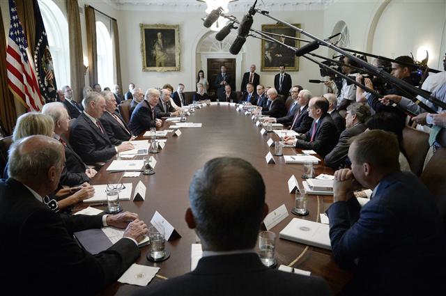 <YONHAP PHOTO-0402> epa06024669 US President Donald J. Trump speaks during during a Cabinet meeting in the Cabinet Room of the White House, in Washington, DC, USA, 12 June 2017. EPA/Olivier Douliery / POOL/2017-06-13 01:31:20/ <저작권자 ⓒ 1980-2017 ㈜연합뉴스. 무단 전재 재배포 금지.>