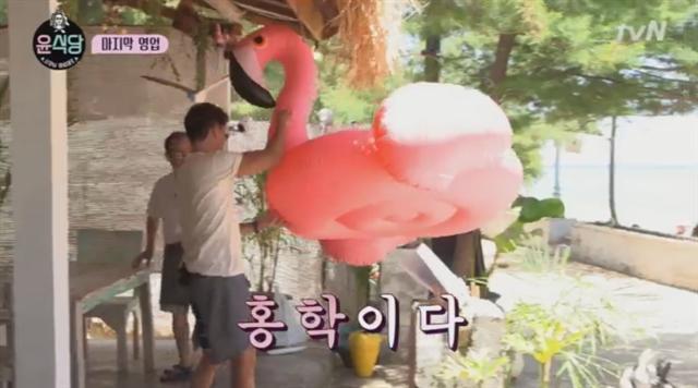 TV 인기 예능프로그램에도 나왔던 ‘홍학(플라밍고) 튜브’.