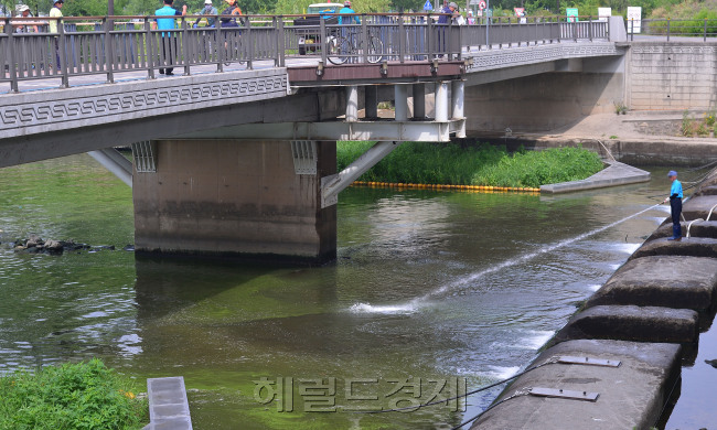 [사진=이상섭 기자/babtong@heraldcorp.com]
