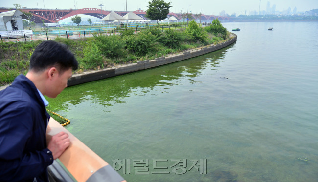 [사진=이상섭 기자/babtong@heraldcorp.com]