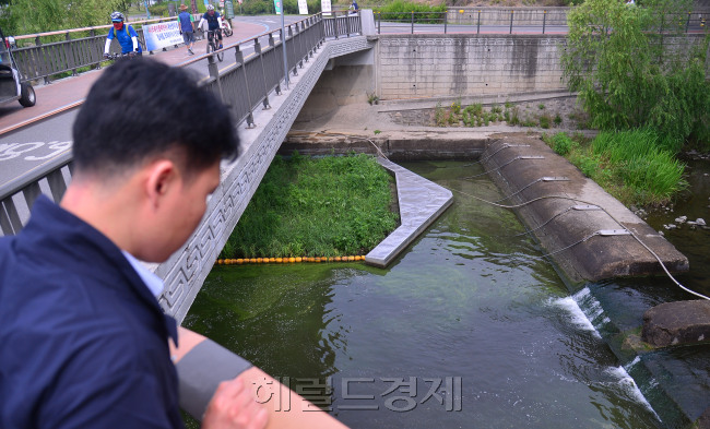 [사진=이상섭 기자/babtong@heraldcorp.com]