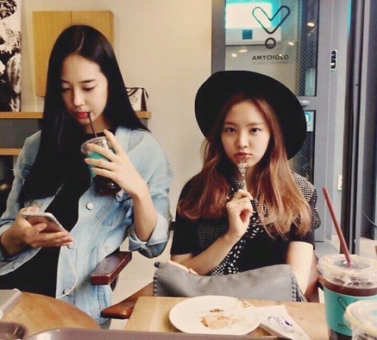 [출처=에이핑크 공식 트위터]