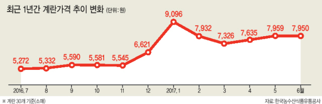 계란 가격과의 전쟁이 끝나지 않고 있다. 계란값은 상승세에서 멈출줄 모르고, 태국산 계란 등 수입계란유통은 더딘 상태다. 이에 계란 1만원시대가 고착화되는 게 아니냐며 주부들은 한숨을 쉬고 있다. 사진은 최근 1만원 계란값 시대 돌입을 상징하는 마트 풍경.  [연합뉴스]