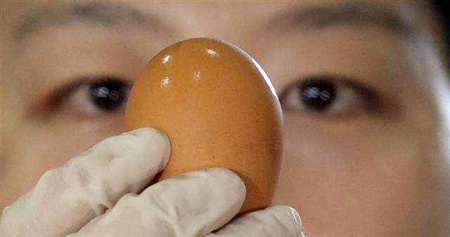 <YONHAP PHOTO-1383> 세관 도착한 태국산 계란 (김포=연합뉴스) 최재구 기자 = 4일 경기도 김포시 인천세관 보세창고에서 농림축산검역본부 관계자들이 태국에서 수입된 계란의 육안검사를 하고 있다. 40피트 컨테이너 2개 분량의 태국산 계란은 현물 검사를 한 뒤 검역과 위생검사를 통과하면 국내에 정식으로 유통된다. 최종 판매가는 30개들이 한 판에 4천500∼6천원 수준으로 전망된다. 2017.7.4 jjaeck9@yna.co.kr/2017-07-04 10:35:33/ <저작권자 ⓒ 1980-2017 ㈜연합뉴스. 무단 전재 재배포 금지.>