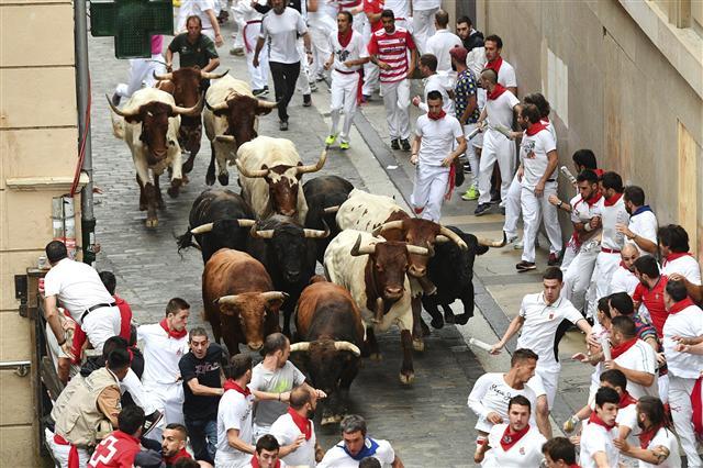 epa06084113 Bulls from the Nunez del Cuvillo bull ranch chase runners or 'mozos' along the Santo Domingo during the seventh 'encierro' or bull run of the Sanfermines 2017 in Pamplona, Spain, 13 July 2017. The festival, locally known as Sanfermines, is held annually from 06 to 14 July in commemoration of the city's patron saint San Fermin. EPA/DANIEL FERNANDEZ
