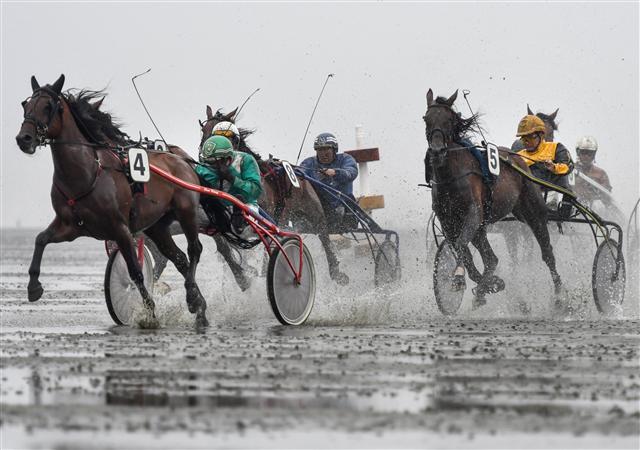 <YONHAP PHOTO-4239> epa06090886 Trotters compete in the traditional Duhner Wattrennen horse racing along the beach of Duhnen in Cuxhaven, Germany, 16 July 2017. The Duhner Wattrennen is the only horse racing event which takes place on an intertidal zone with around 20,000 spectators expected to attend. EPA/DAVID HECKER/2017-07-16 21:49:44/ <저작권자 ⓒ 1980-2017 ㈜연합뉴스. 무단 전재 재배포 금지.>