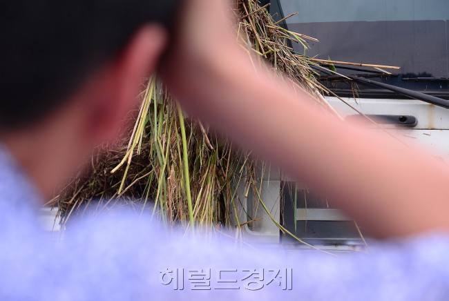 [사진=이상섭 기자/babtong@heraldcorp.com]