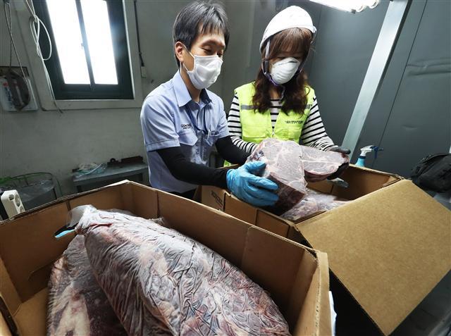 20일 오후 경기도 용인시의 한 냉동창고에서 농림축산검역본부 검역관이 미국산 쇠고기 검역작업을 하고 있다. 농림축산식품부는 미국에서 5년 만에 광우병으로 의심되는 소가 발견됨에 따라 현물검사 비율을 3%에서 30%로 늘리는 등 검역을 강화했다.  [연합뉴스]