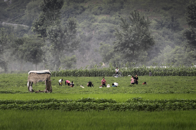 North Koreans work on farm fields along the Pyongyang-Wonsan highway on Thursday in Sangwon County, North Hwanghae Province. (AP-Yonhap)