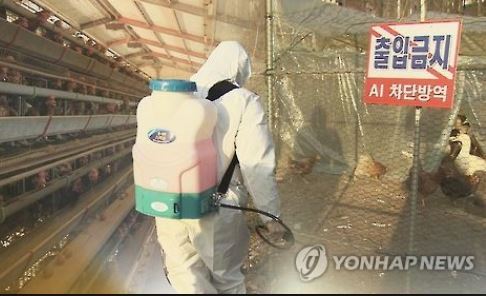 (Yonhap)