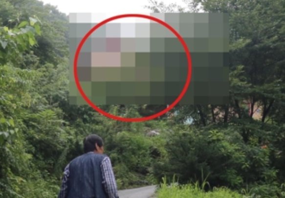 (사진=연합뉴스)