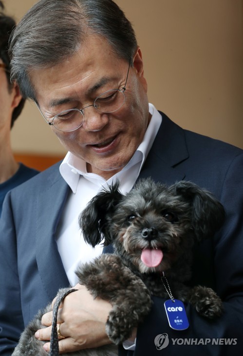 (사진=연합뉴스)