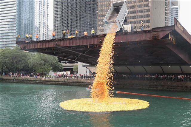 <YONHAP PHOTO-0780> CHICAGO, IL - AUGUST 03: Rubber ducks are dropped into the Chicago River to start the Windy City Rubber Ducky Derby on August 3, 2017 in Chicago, Illinois. Derby organizers drop 60,000 rubber ducks into the river to start the race which helps to raise about $350,000 for Special Olympics Illinois. The sponsor of the first duck to float across the finish line is awarded a new SUV. Scott Olson/Getty Images/AFP == FOR NEWSPAPERS, INTERNET, TELCOS & TELEVISION USE ONLY ==/2017-08-04 06:41:37/ <저작권자 ⓒ 1980-2017 ㈜연합뉴스. 무단 전재 재배포 금지.>