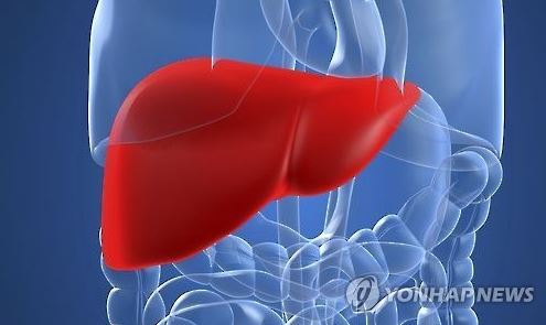 (Yonhap)