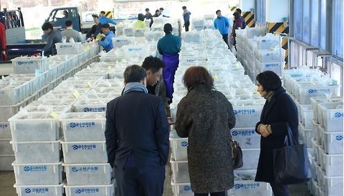 (Yonhap)