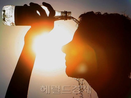 질병관리본부에 따르면 올해 집계를 시작한 지난 5월29일부터 지난 6일까지 보고된 온열질환자는 1284명에 달한다. 직업별로 살펴보면 농림어업 종사자가 160명으로 가장 많고, 기능직종과 기계조작 관련 업종이 각각 137명과 80명을 기록했다. [사진=헤럴드경제DB]