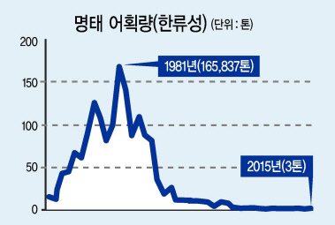 7일 오전 한반도 주변 바다 수온 분포. 예년 같으면 섭씨 20~22도에 머물러야 할 동해안의 수온이 유례없는 폭염으로 아열대 바다와 맞먹는 29도까지 치솟고 있다.  [국립수산과학원·연합뉴스]